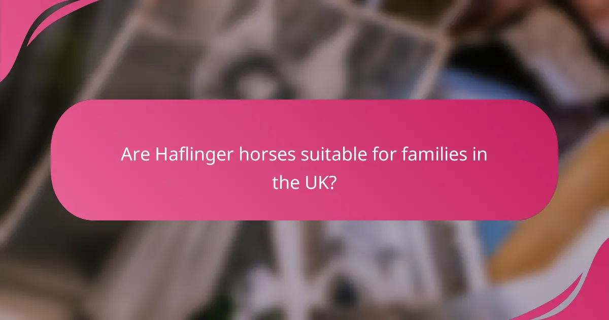Are Haflinger horses suitable for families in the UK?