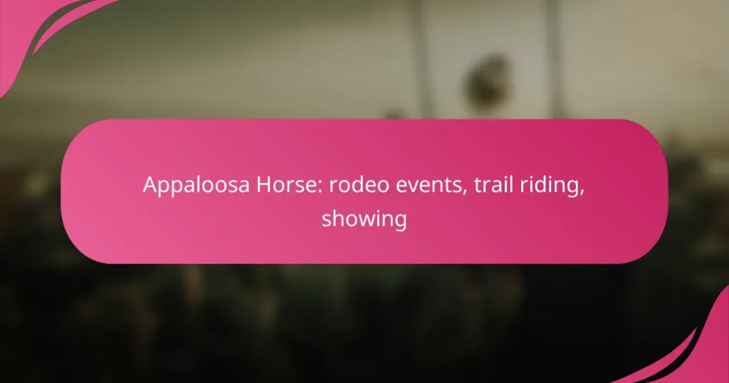 Appaloosa Horse: rodeo events, trail riding, showing