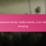 Appaloosa Horse: rodeo events, trail riding, showing