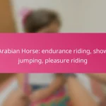 Arabian Horse: endurance riding, show jumping, pleasure riding