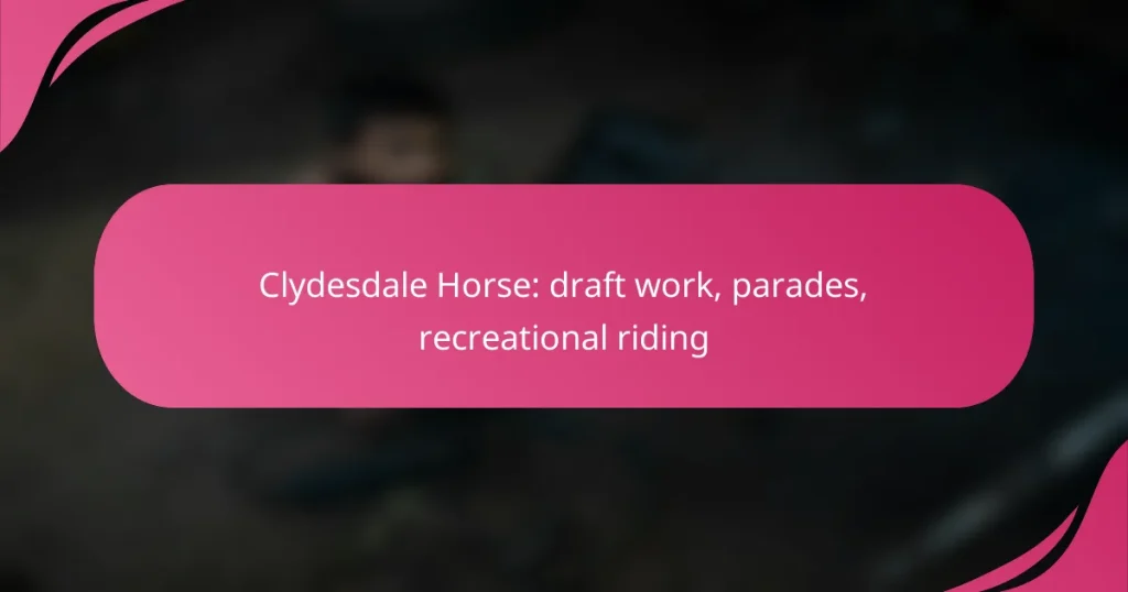 Clydesdale Horse: draft work, parades, recreational riding