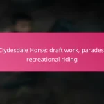 Clydesdale Horse: draft work, parades, recreational riding