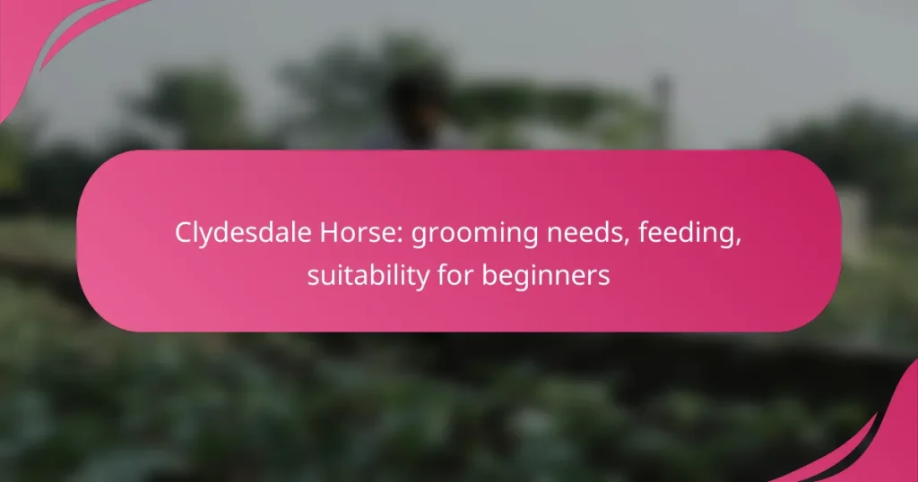 Clydesdale Horse: grooming needs, feeding, suitability for beginners