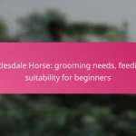 Clydesdale Horse: grooming needs, feeding, suitability for beginners