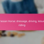 Friesian Horse: dressage, driving, leisure riding