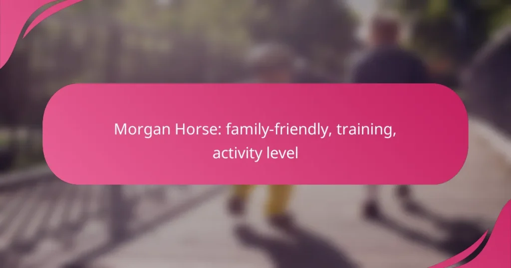 Morgan Horse: family-friendly, training, activity level