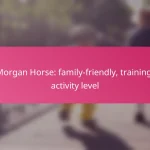 Morgan Horse: family-friendly, training, activity level