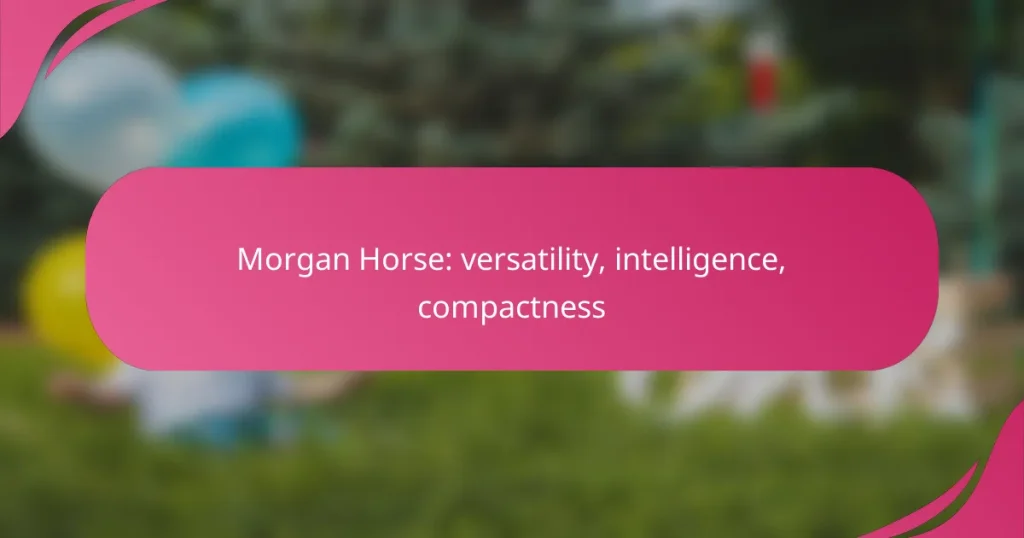 Morgan Horse: versatility, intelligence, compactness