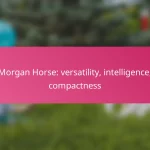 Morgan Horse: versatility, intelligence, compactness