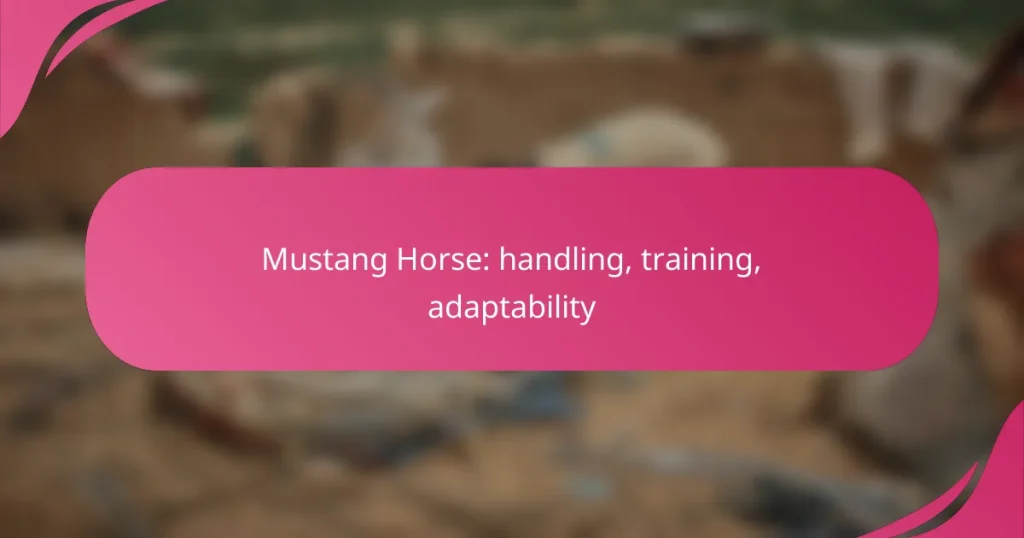 Mustang Horse: handling, training, adaptability