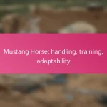 Mustang Horse: handling, training, adaptability