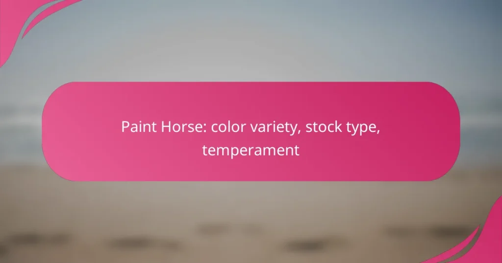 Paint Horse: color variety, stock type, temperament