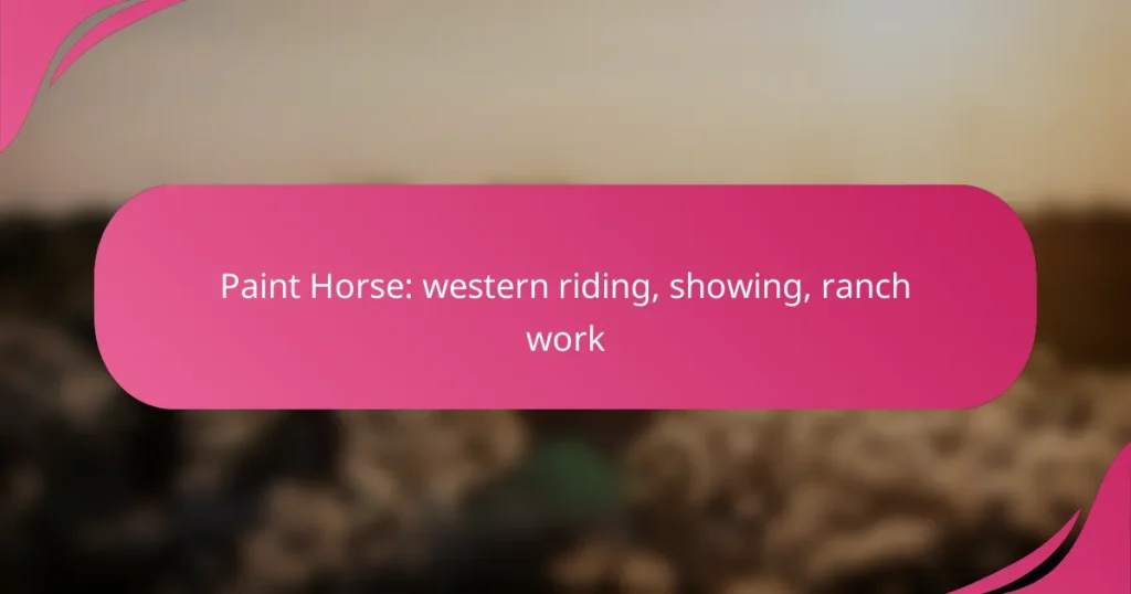 Paint Horse: western riding, showing, ranch work