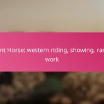 Paint Horse: western riding, showing, ranch work