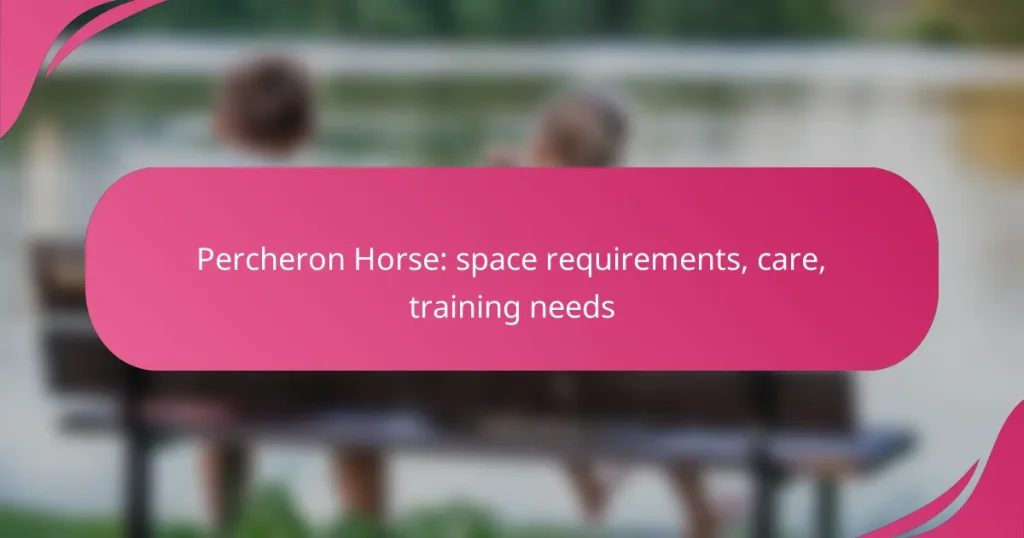 Percheron Horse: space requirements, care, training needs