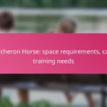 Percheron Horse: space requirements, care, training needs