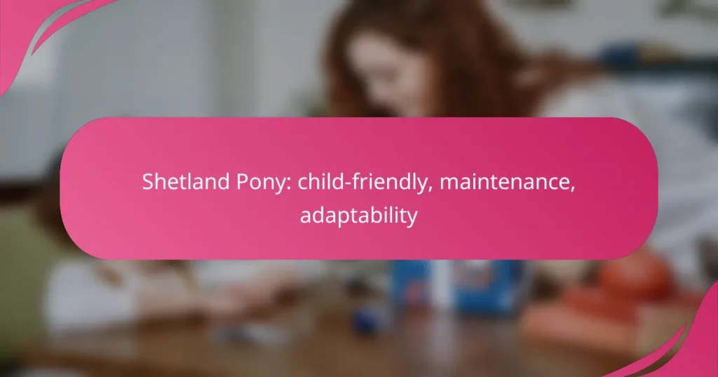 Shetland Pony: child-friendly, maintenance, adaptability