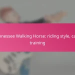 Tennessee Walking Horse: riding style, care, training