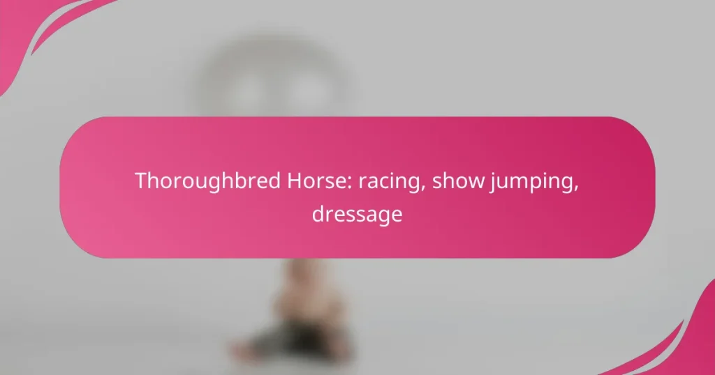 Thoroughbred Horse: racing, show jumping, dressage