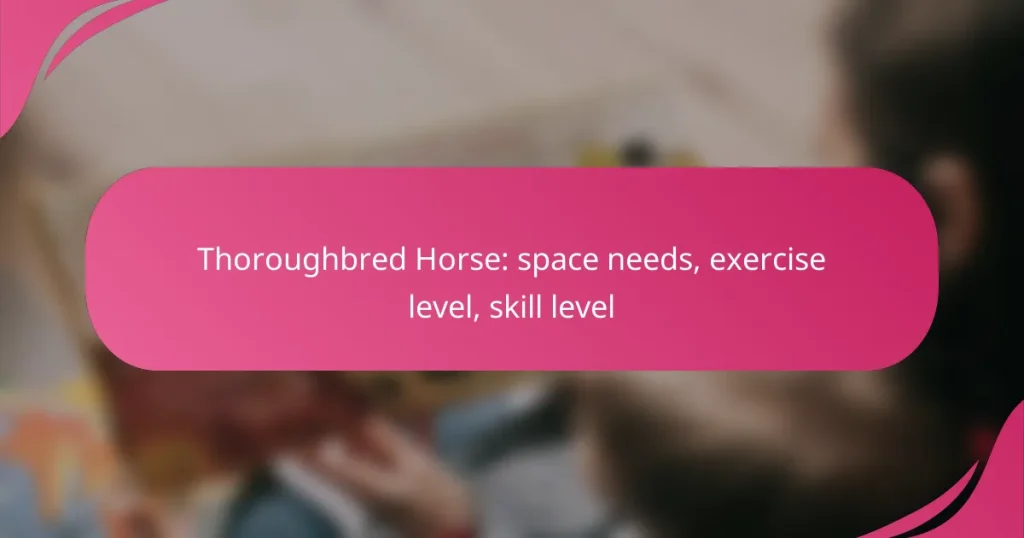 Thoroughbred Horse: space needs, exercise level, skill level