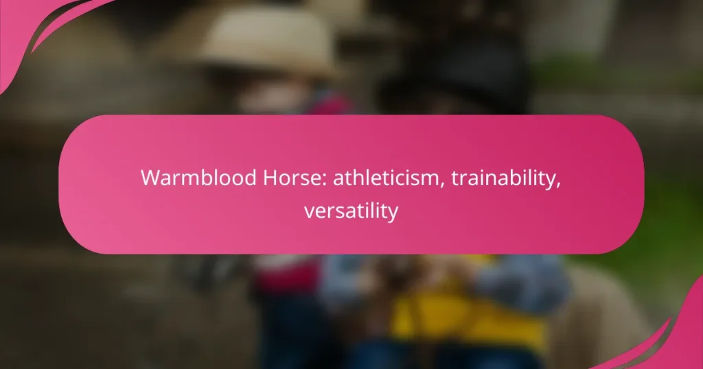 Warmblood Horse: athleticism, trainability, versatility