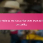 Warmblood Horse: athleticism, trainability, versatility