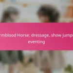 Warmblood Horse: dressage, show jumping, eventing