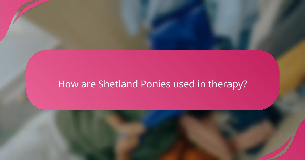 How are Shetland Ponies used in therapy?