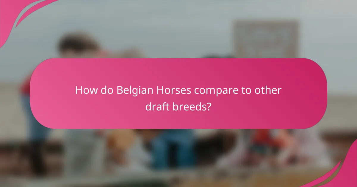 How do Belgian Horses compare to other draft breeds?