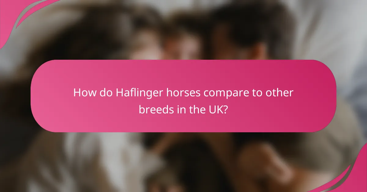 How do Haflinger horses compare to other breeds in the UK?