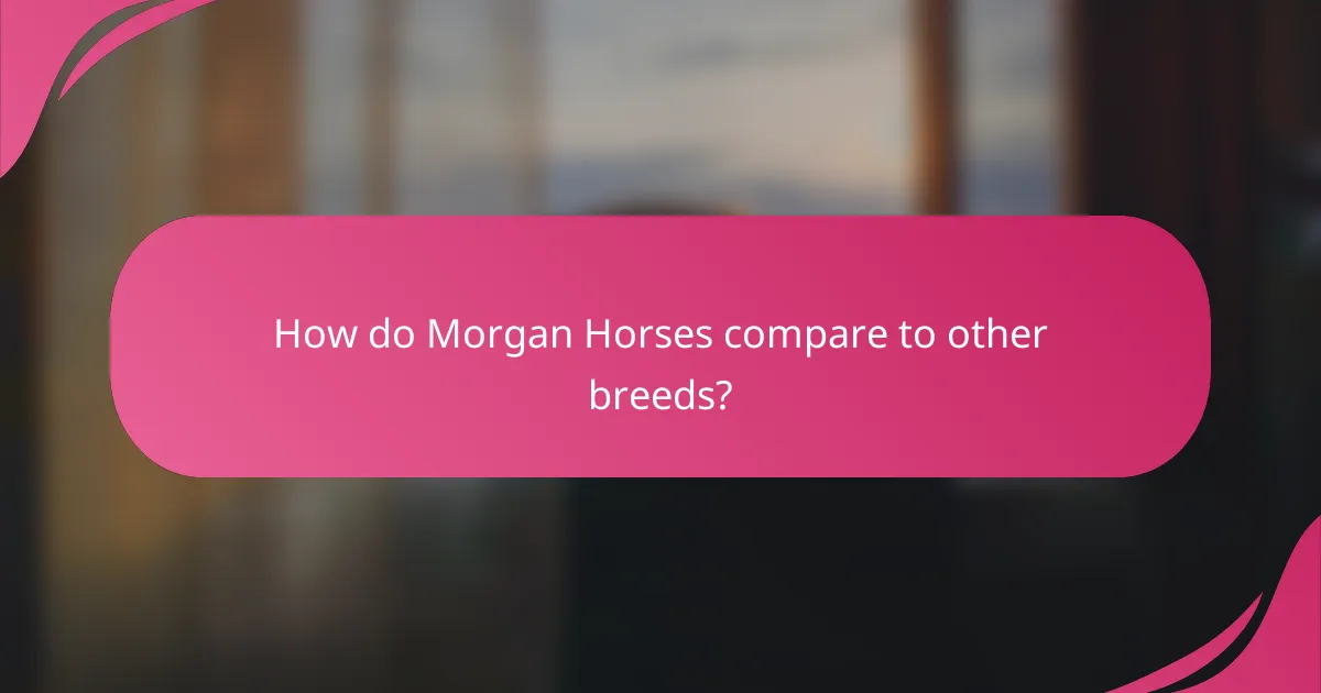 How do Morgan Horses compare to other breeds?