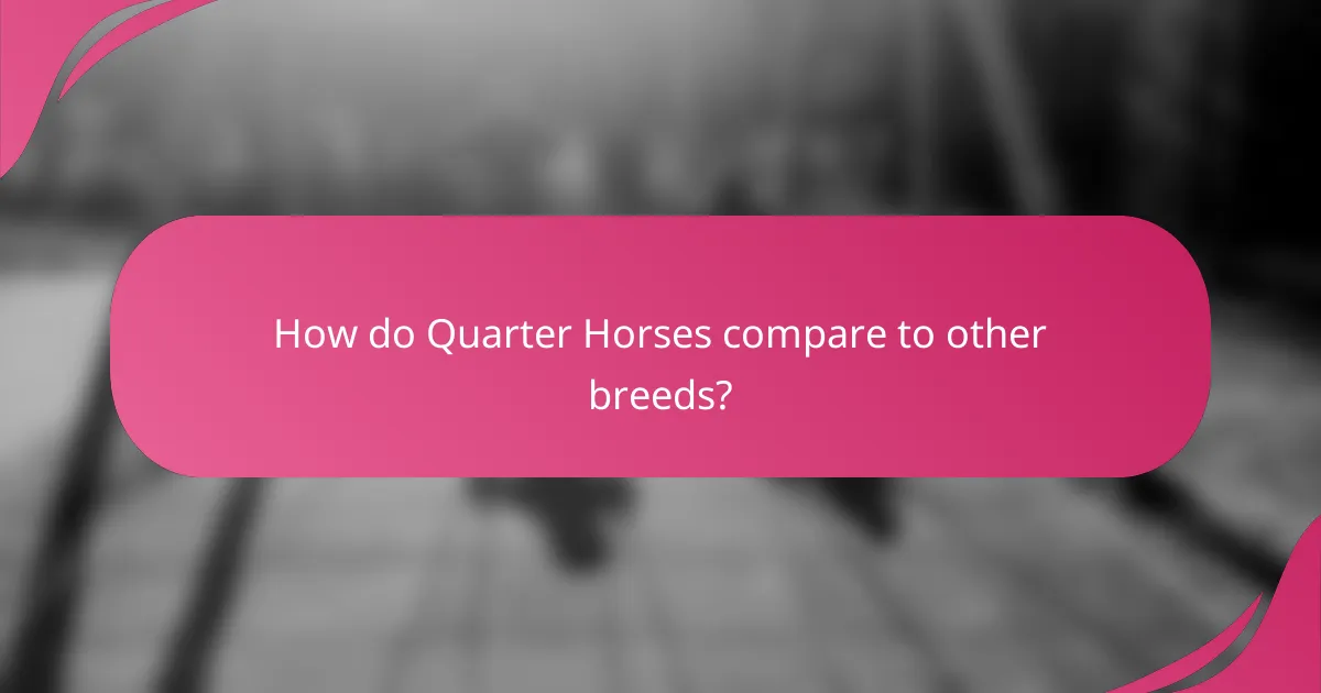 How do Quarter Horses compare to other breeds?