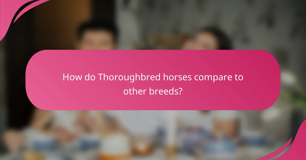 How do Thoroughbred horses compare to other breeds?