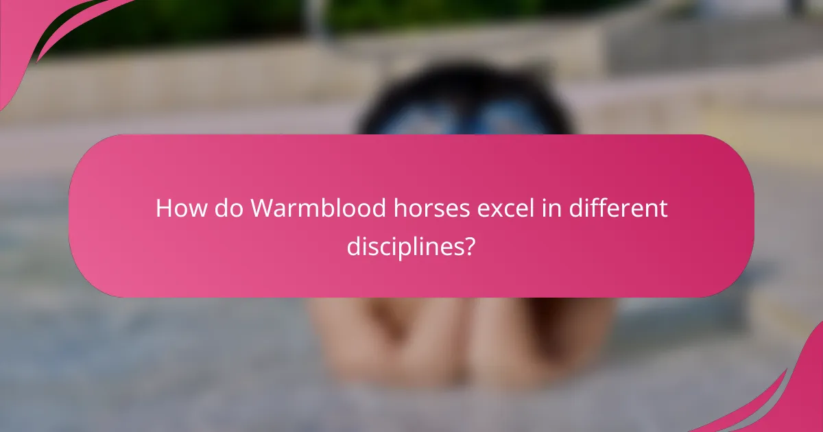 How do Warmblood horses excel in different disciplines?