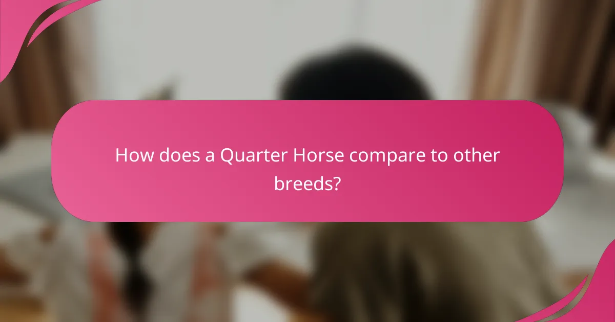 How does a Quarter Horse compare to other breeds?