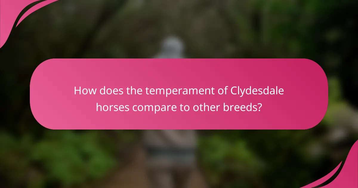 How does the temperament of Clydesdale horses compare to other breeds?