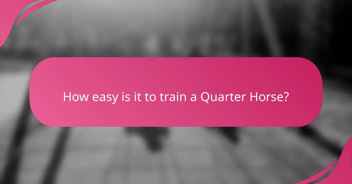 How easy is it to train a Quarter Horse?
