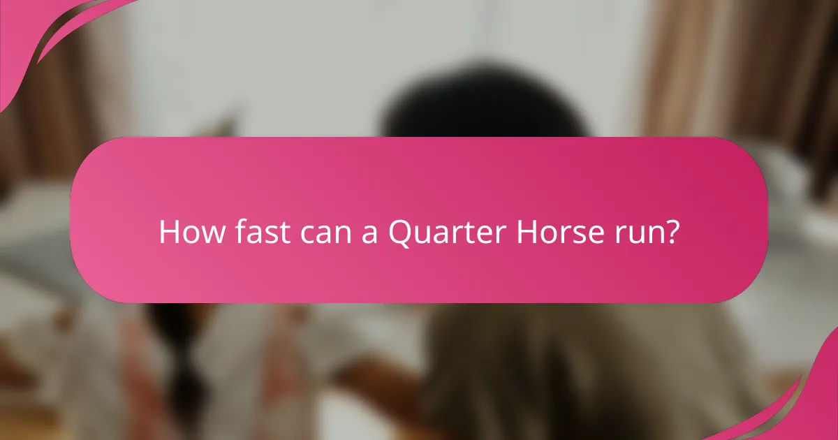 How fast can a Quarter Horse run?