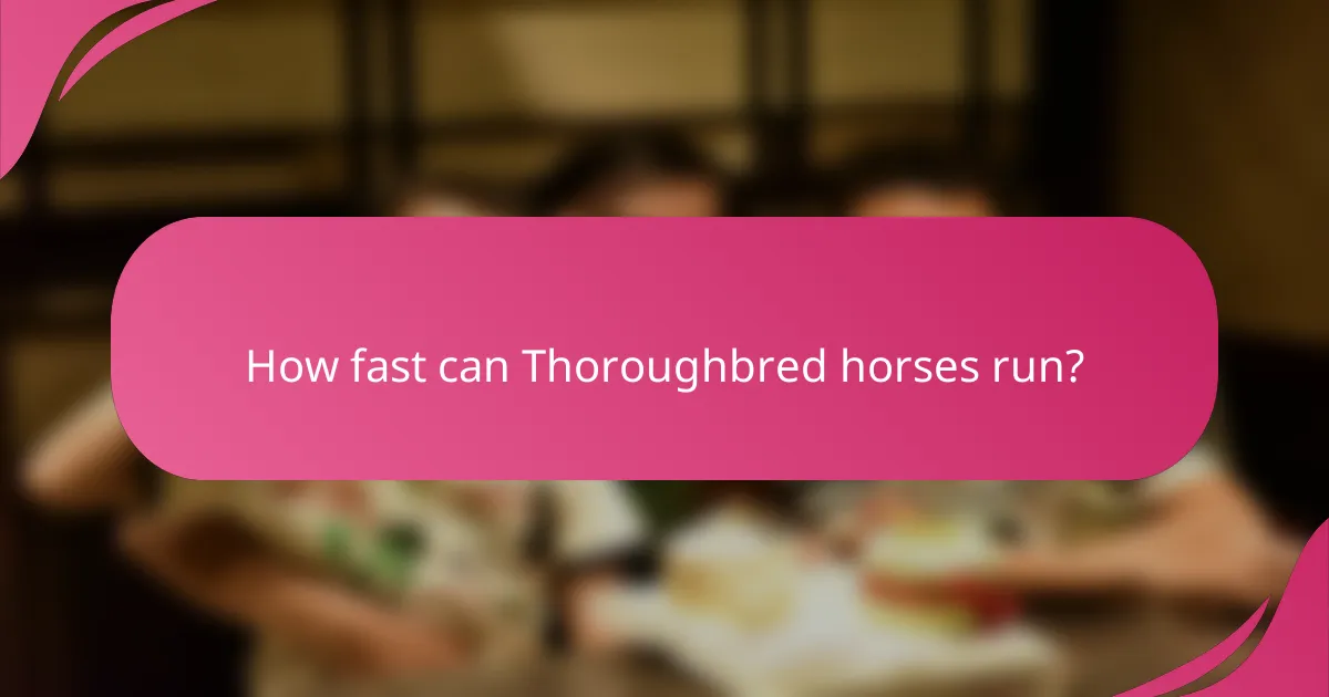 How fast can Thoroughbred horses run?