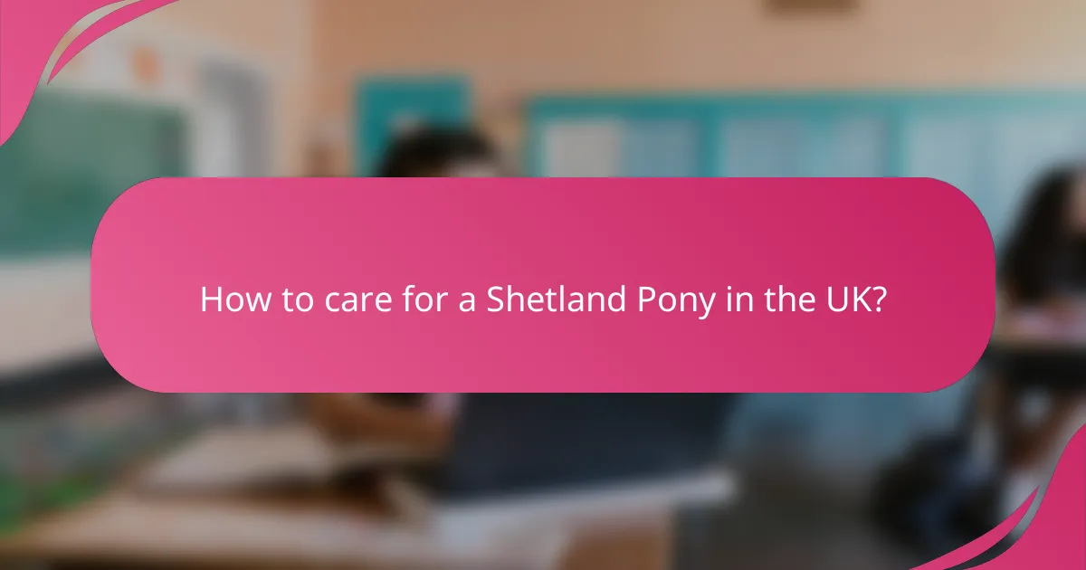 How to care for a Shetland Pony in the UK?