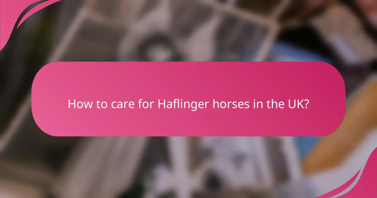 How to care for Haflinger horses in the UK?