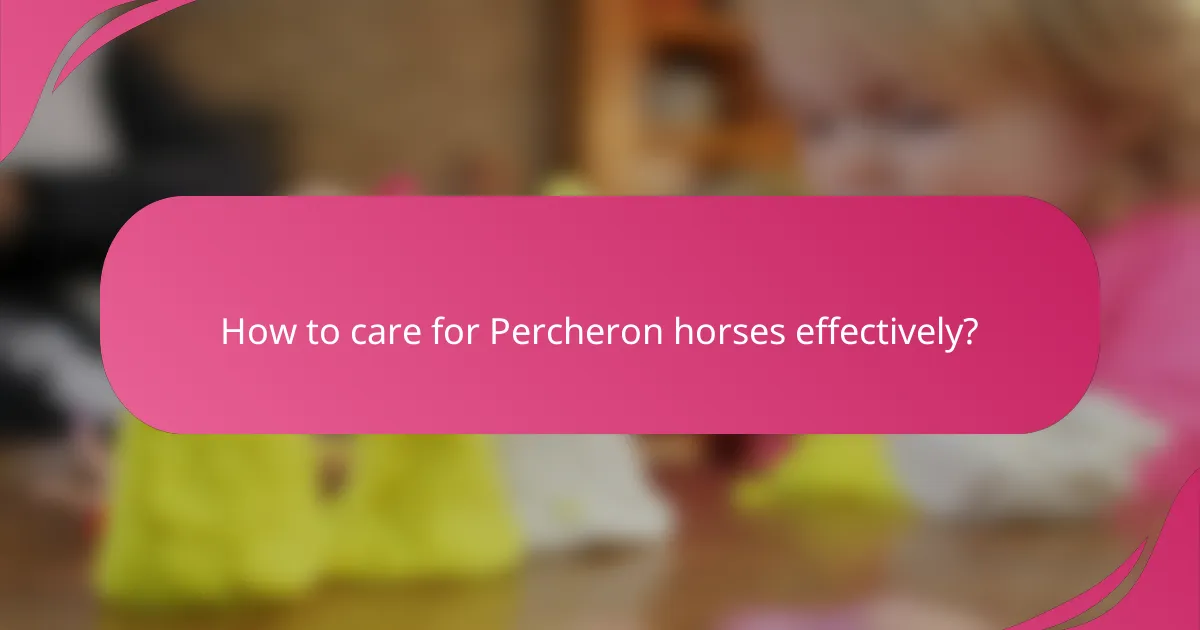 How to care for Percheron horses effectively?