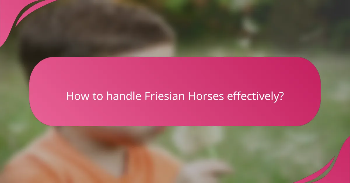 How to handle Friesian Horses effectively?