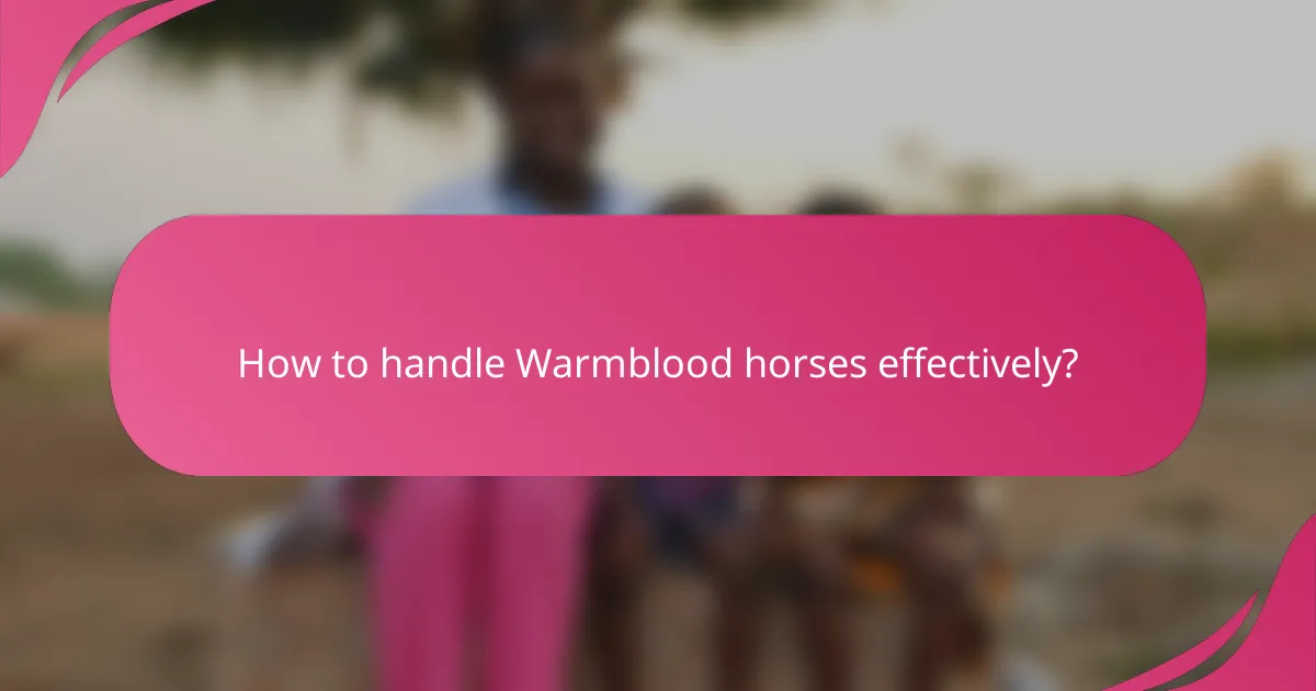 How to handle Warmblood horses effectively?
