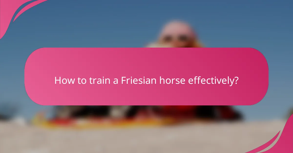 How to train a Friesian horse effectively?