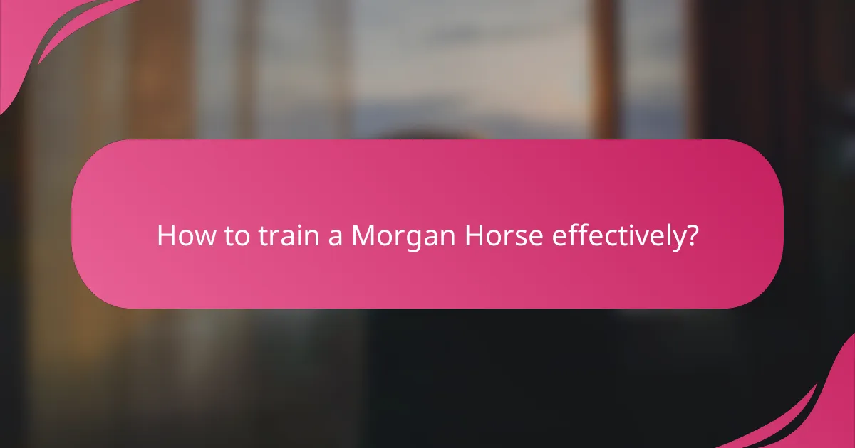 How to train a Morgan Horse effectively?