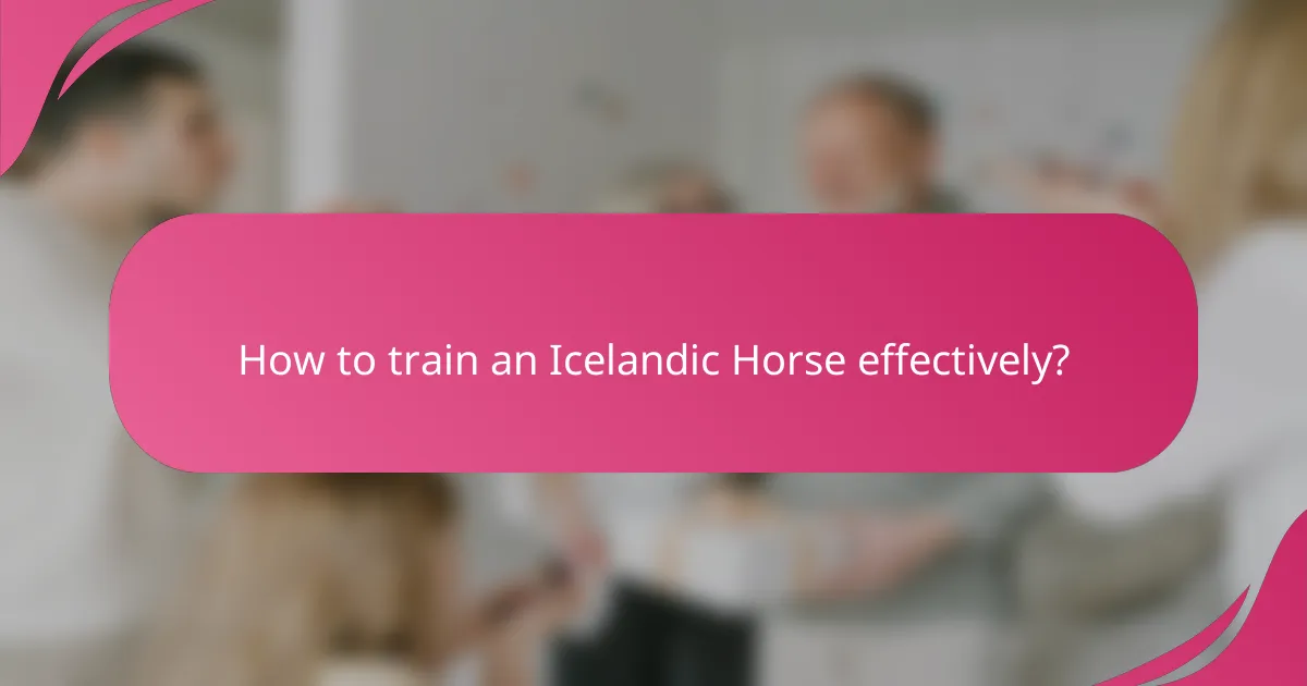 How to train an Icelandic Horse effectively?