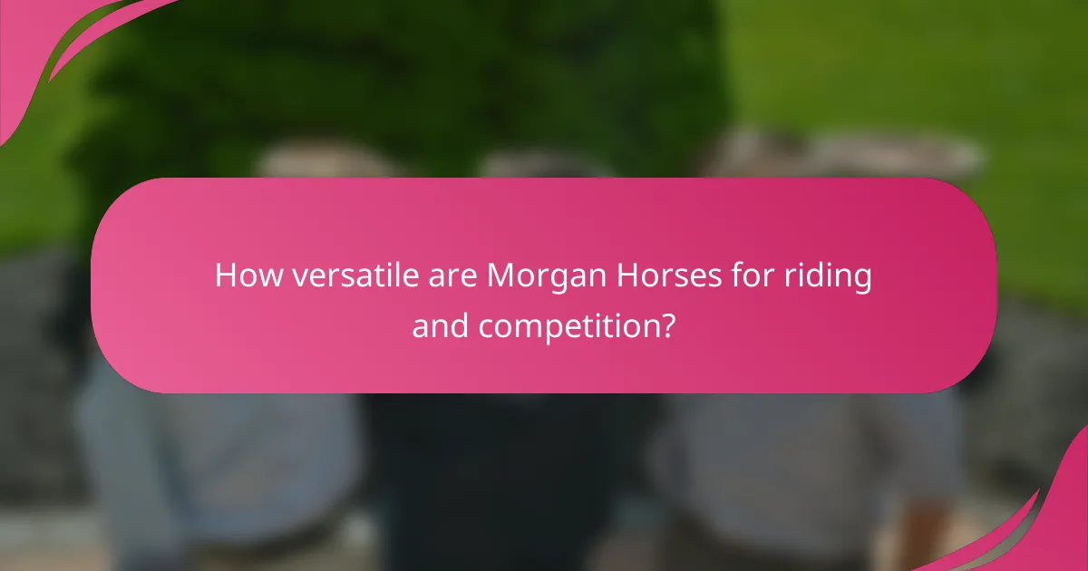 How versatile are Morgan Horses for riding and competition?