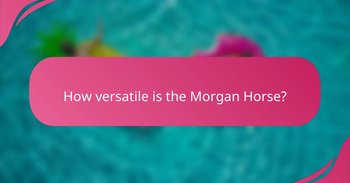 How versatile is the Morgan Horse?
