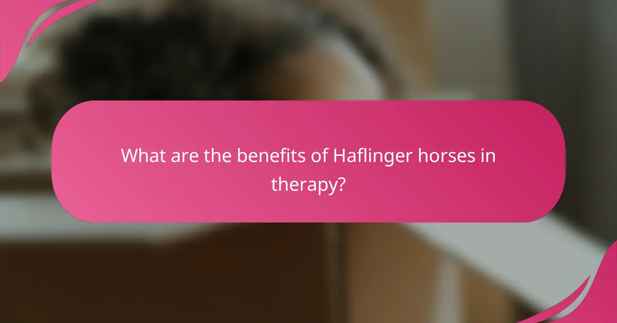 What are the benefits of Haflinger horses in therapy?